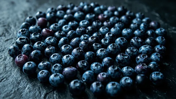 KI-Inhalt 'Heidelbeeren' von Autor Zavodov